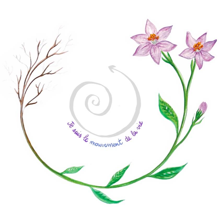 Illustration pédagogique, visuel de formation