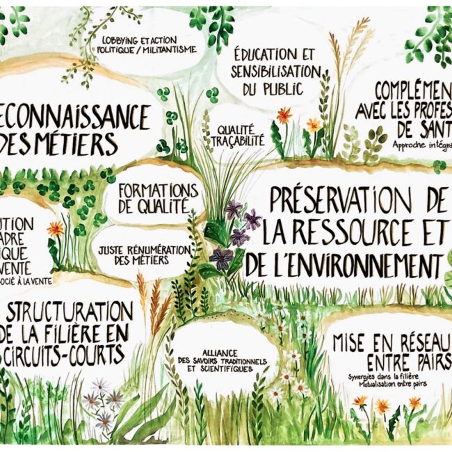 Fresque avec des mots et des illustrations de fleurs
