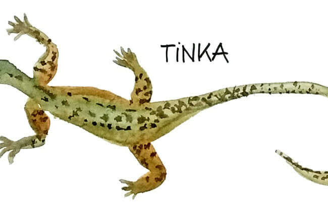 Illustration d'un petit lézard du désert australien