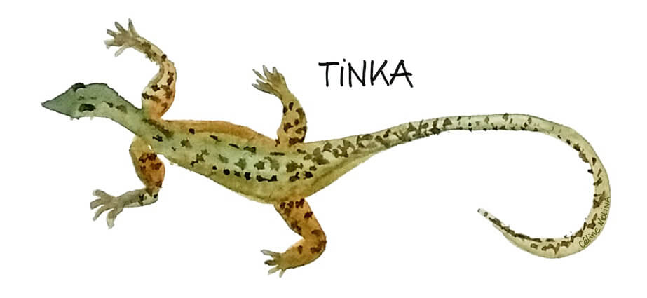 Illustration d'un petit lézard du désert australien